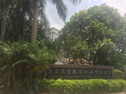 祝东莞高丰木业制品有限公司通过BV  BSCI、FCCA、SCS验厂