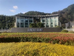 祝双枪科技股份有限公司通过ITS审核的新版GSV认证