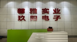 祝贺惠州玖阳电子有限公司2024年快速通过Sedex-4P突击审核