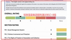 祝贺中山蓝晨科技股份有限公司2026年快速通过BSCI验厂-B级